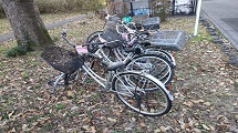 19.jpg