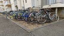 39.jpg