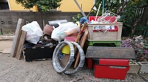IMG_20201219_153516.jpg