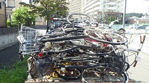 RIMG0480.JPG