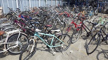 RIMG0491.JPG