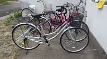 RIMG0551.JPG