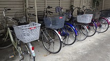 RIMG0585.JPG