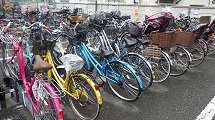 RIMG0593.JPG