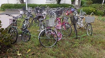 RIMG1220.JPG