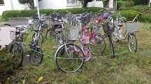 RIMG1221.JPG