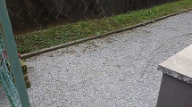 RIMG2635.JPG